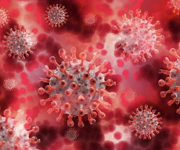 Alerta en China por el brote de un nuevo virus respiratorio