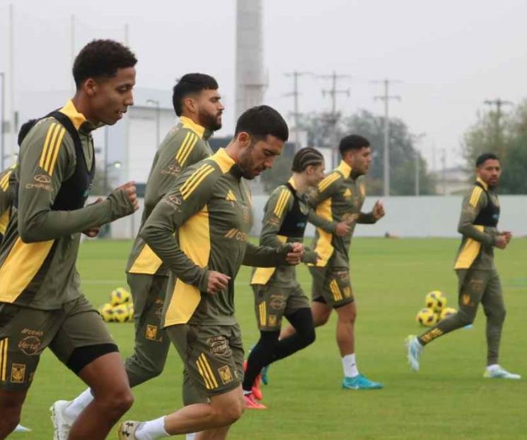 Van Tigres lentos en este mercado invernal