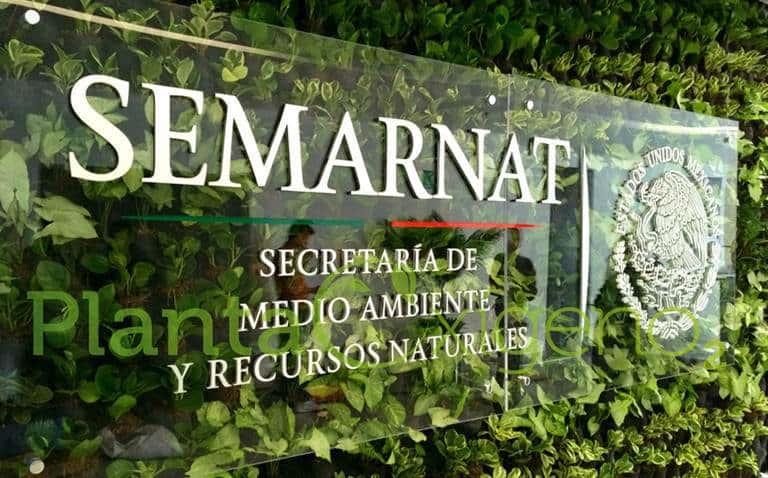 Abre ventanilla electrónica Semarnat  para agilizar trámites