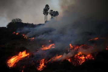 Avanza incendio de Palisades sin control en Los &Aacute;ngeles