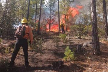 Incrementan un 5% los incendios forestales en M&eacute;xico