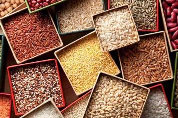 Importación de granos alcanza récord histórico